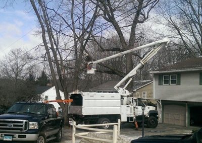Watertown, CT - Tree Removal Project - Tree Trimming, Cutting, Maintenance