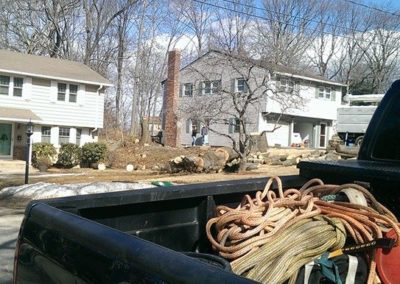 Watertown, CT - Tree Removal Project - Tree Trimming, Cutting, Maintenance