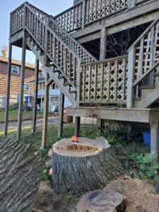 Tree & Stump Removal Project in Woodbridge, CT