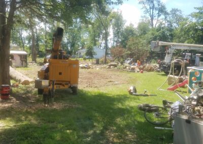 Bethany, CT | Tree Removal Project | Emergency Tree Cutting & Removal