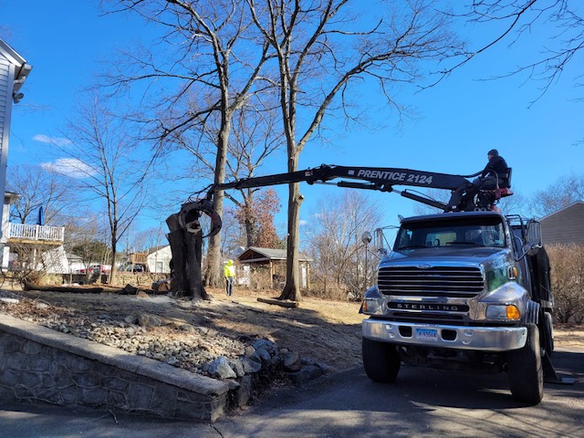 Best Tree Cutting & Removal Company in Bristol, CT
