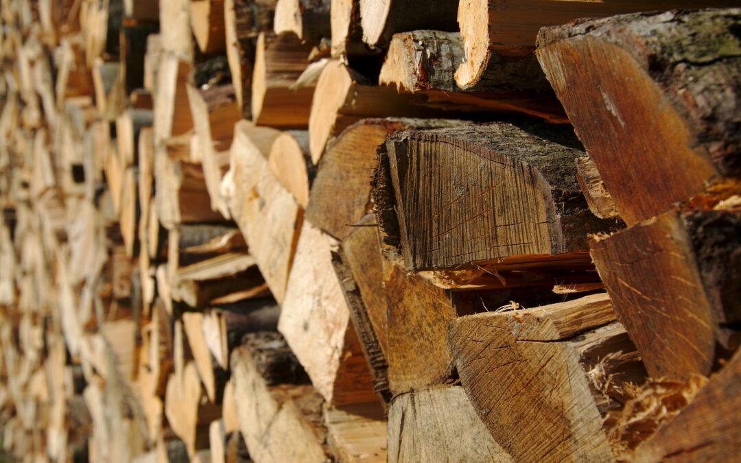 Naugatuck, CT – High Quality, Seasoned Firewood Delivery Service Near Me