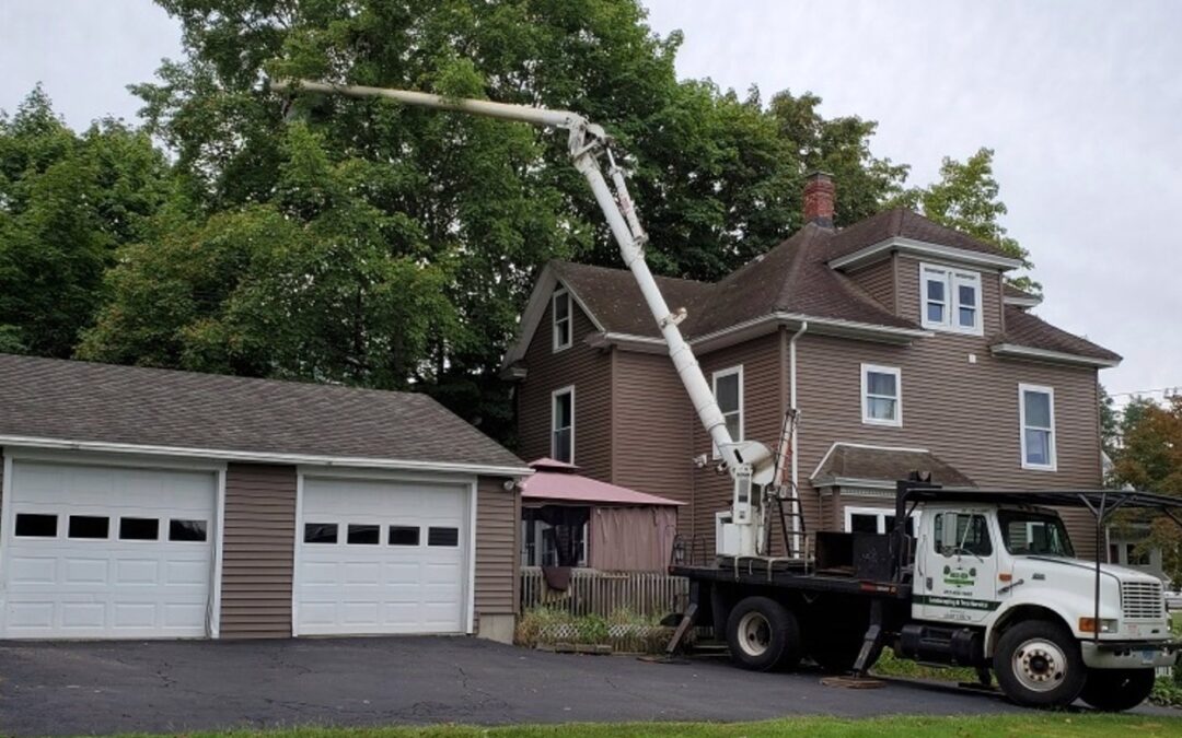 Crane and Bucket Truck Removal Services