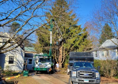 Tree Removal Project in Seymour, CT by Hillview Tree Service and Property Maintenance