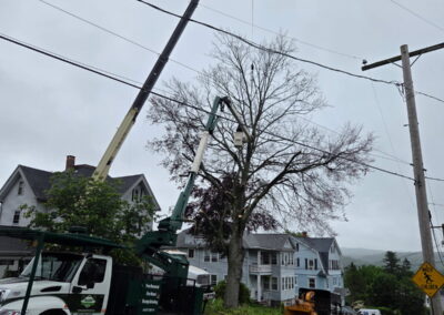 Hillview Tree Service in Naugatuck, CT