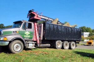 Hillview Tree Service in Naugatuck, CT