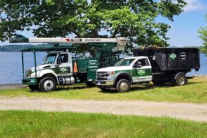 Hillview Tree Service in Naugatuck, CT