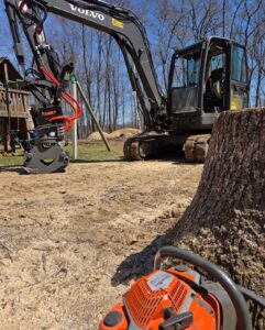 Hillview Tree Service in Naugatuck, CT
