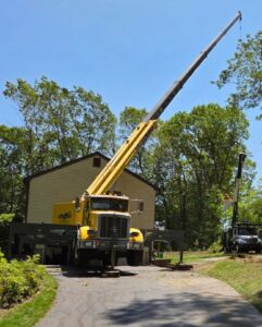 Hillview Tree Service in Naugatuck, CT