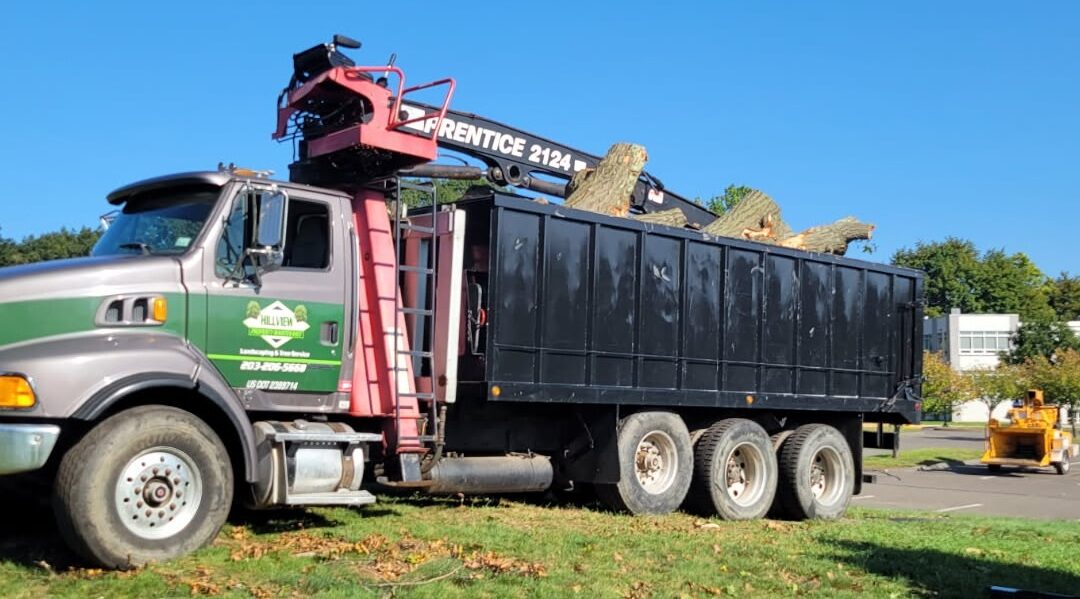 Hillview Tree Service in Naugatuck, CT