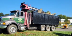 Hillview Tree Service in Naugatuck, CT