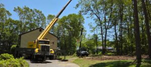 Hillview Tree Service in Naugatuck, CT