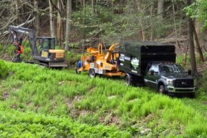 https://hillviewtreellc.com/naugatuck-emergency-tree-services/tree-removal-site-clearing-contractors-naugatuck-ct/