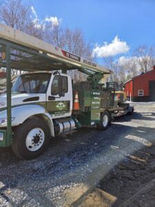 Hillview Tree Service in Naugatuck, CT
