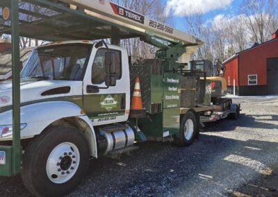 Hillview Tree Service in Naugatuck, CT