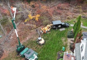 Hillview Tree Service & Property Maintenance in Naugatuck, CT
