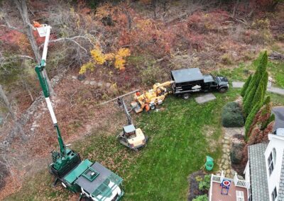 Hillview Tree Service & Property Maintenance in Naugatuck, CT