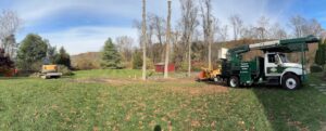Hillview Tree Service & Property Maintenance in Naugatuck, CT