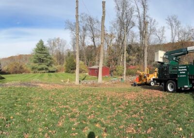 Hillview Tree Service & Property Maintenance in Naugatuck, CT