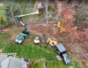 Hillview Tree Service & Property Maintenance in Naugatuck, CT