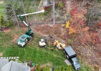Hillview Tree Service & Property Maintenance in Naugatuck, CT